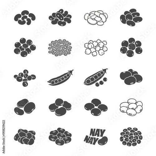 Vector black and white beans and legumes icon set, various types of peas, lentils, chickpeas, and kidney beans, isolated on white