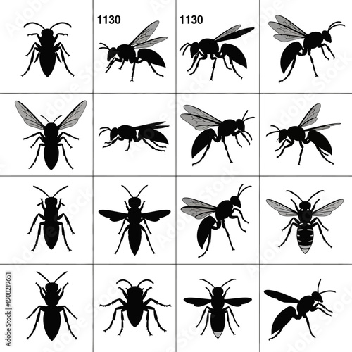 Vector black silhouette wasp and bee insect set, various poses and angles, isolated on white