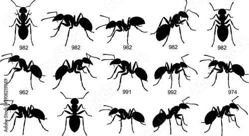 Black ant vector silhouettes set, various poses and angles, insect illustration isolated on white