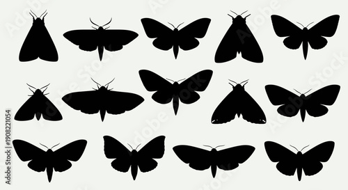 Black moth and butterfly silhouettes vector set, various insect shapes, isolated on white