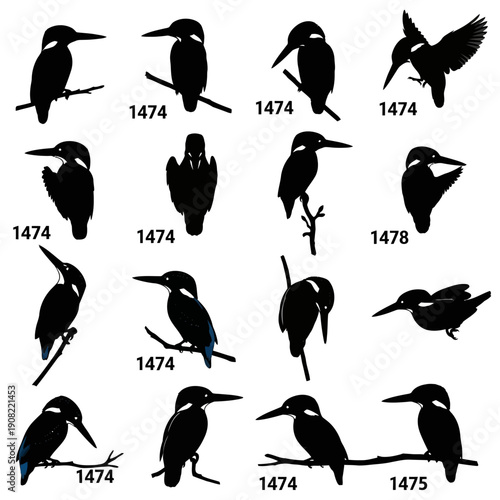 Vector silhouette set of Kingfisher birds in various poses, perched and flying, isolated on white