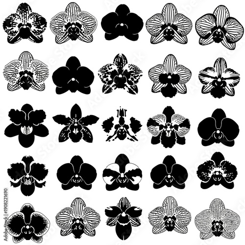 Black and white orchid flower vector icons set, floral silhouette illustration for pattern, logo, botanical design, isolated on white