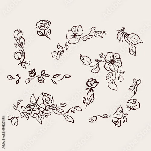 Linear vector set of flowers and leaves for creating decorative frames and borders. Elegant botanical outline elements perfect for wedding design, invitations, branding and floral compositions.