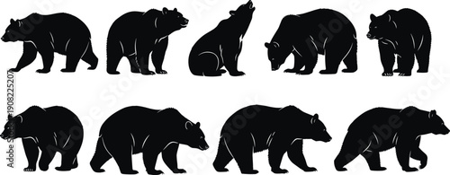Bear silhouette pose collection showing standing walking sitting and roaring bear positions, black vector illustration set for wildlife nature themes, animal symbols and creative design projects