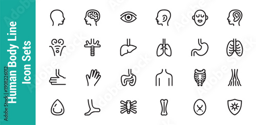 Human body line icon sets outline sign collection of human organs with editable stroke for websites