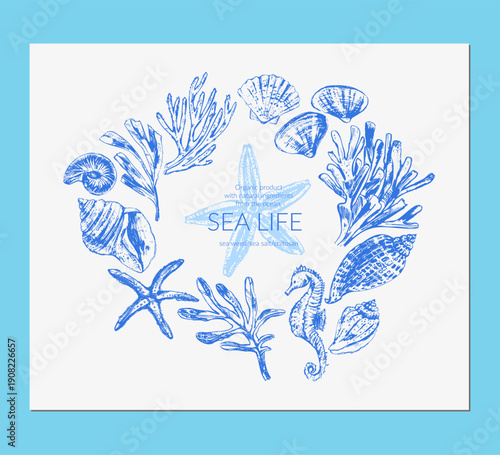 Vector sea life background. Sea creatures frame wreath. Seashells, coral, star fish, seaweed, seahorse. Summer beach print.