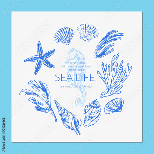 Vector sea life background. Sea creatures frame wreath. Seashells, coral, star fish, seaweed, seahorse. Summer beach print.