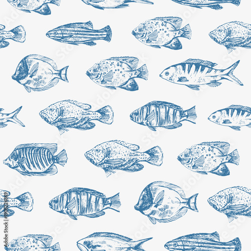 Vector sea animals seamless pattern. Ocean coral fish white. Sea life background. Summer beach print