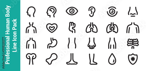 Professional human body line icon pack featuring anatomical symbols for medicine health and science industry