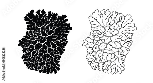 Abstract black and white organic shapes resembling coral or branching structures