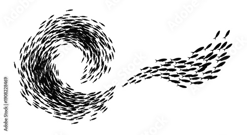 Schooling fish form a swirling vortex and a trailing stream