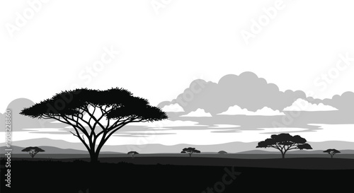 Silhouetted acacia trees against a cloudy african sunset landscape