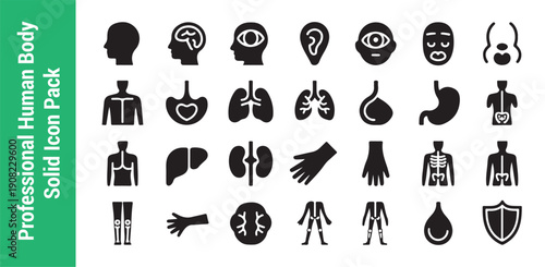 Professional human body solid icon pack for medical and health services anatomy organ illustration