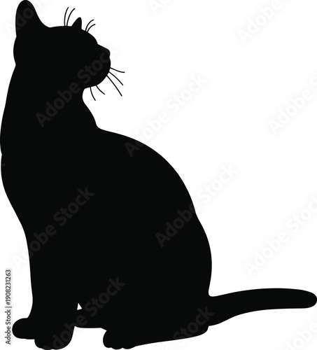 Black Silhouette of a Sitting Cat Looking to the Side with Whiskers animal