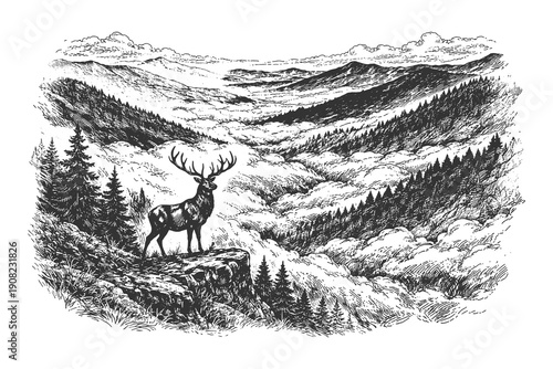 Majestic Hand Drawn Vector Illustration of a Deer Stag Standing on a Cliff Edge Overlooking a Foggy Pine Forest Valley in Detailed Line Art Style