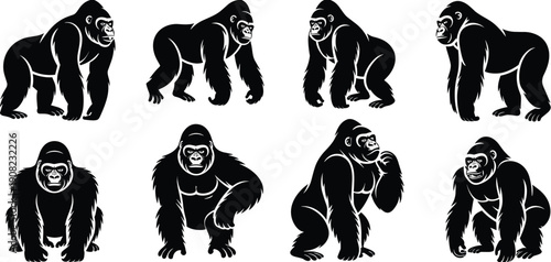 Gorilla silhouette illustration set, standing walking sitting crouching poses, wildlife primate vector art, jungle animal clipart, bold graphic black white design