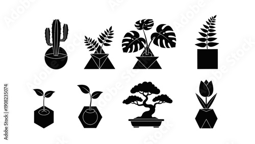 Set of Black and White Potted Plant Icons: Cactus, Bonsai, Tulip, Fern, Monstera