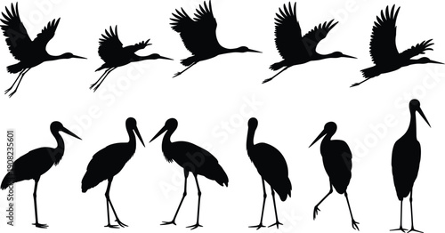 Crane bird silhouette collection isolated on white background, flying and standing poses, black elegant wildlife avian vector illustration
