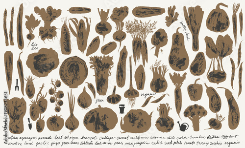 Hand drawn vegetable grungy silhouettes set. Tomato, cucumber, bell pepper, zucchini, pumpkin, butternut, squash, corn, onion, radish, potato, green beans, asparagus, artichoke, cabbage, kohlrabi.
