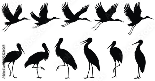 Crane bird silhouettes set isolated on white background, flying and standing poses, black wildlife avian illustration vector collection