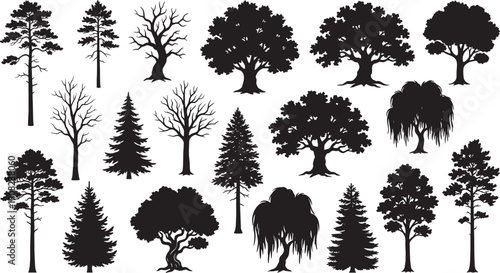 Detailed Set of Black Tree Silhouettes Collection Including Pine Fir Oak Willow and Deciduous Styles Isolated on White Background for Nature Landscape Design