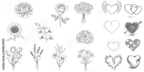 Delicate pencil art flowers and hearts shapes floral design featuring roses peonies orchid sunflower in romantic botanical sketch style illustration.