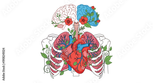 Anatomical illustration combining brain heart lungs and floral elements