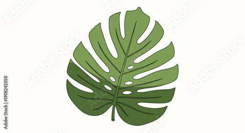 Vibrant Green Monstera Deliciosa Leaf Illustration for Tropical Botanical Designs and Decor