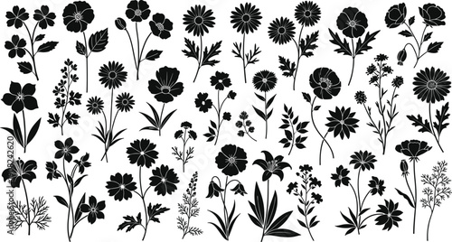 Set of wildflower silhouettes featuring various blooming plants and leaves, detailed black botanical illustrations isolated on white background for nature, floral, decorative and design use