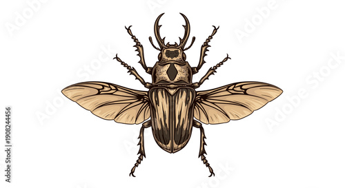 Detailed vintage style illustration of a stag beetle with its wings fully spread and large mandibles prominent on a clean white background.