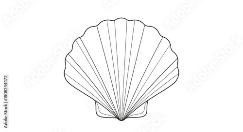 Symmetrical scallop shell outline with radial ridges drawn in clean black and white line art style for nature themed coloring pages.