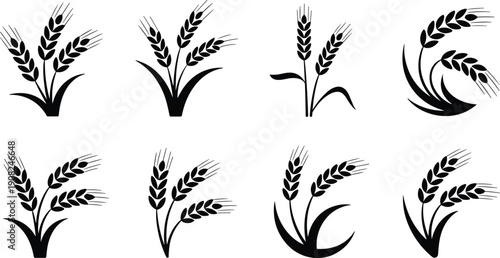 Wheat Ears Icon Set Black and White Outline Agricultural Grain Vector