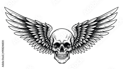 Dramatic vintage engraving of a human skull with large, spread wings, symbolizing death, freedom, spirituality, and a powerful gothic aesthetic.