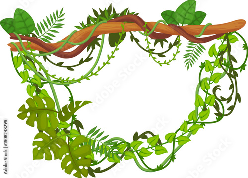 Hanging green creeper from jungle tree branch frame