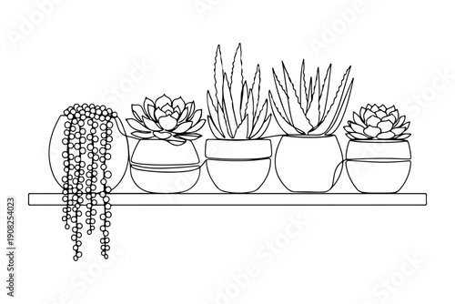 Succulent and Cactus Plants on Shelf Continuous Line Art Illustration