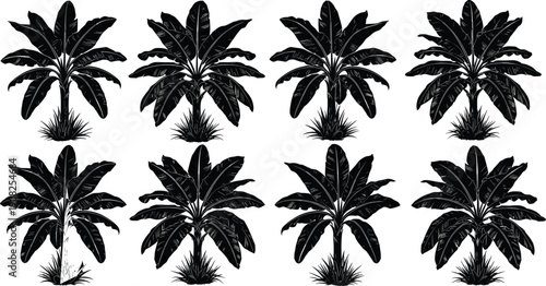 Collection of tropical banana tree silhouettes and botanical palm leaf illustrations for exotic garden design, summer vacation themes, and nature graphics.