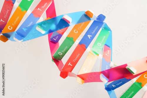 DNA molecule spiral structure model isolated on white background, chromosome and gene chemical science biology.