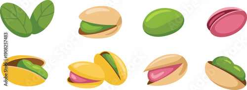 Pistachio illustration set, cartoon vector pistachio nuts, colorful opened and closed shells, healthy snack food icons collection