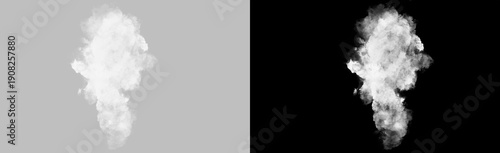 Φωτογραφία Thick rising white smoke shape isolated on transparent background, textured vapo