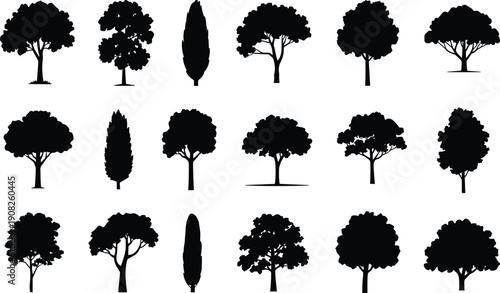 Black Silhouettes of Various Trees on White Background