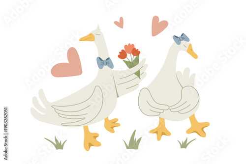 White goose couple in love isolated on White. Gander in a bow tie giving flowers to a goose with a blue bow. Funny design for Valentine's Day, weddings or romantic  decor.