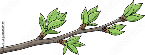 Illustration of a tree branch sprouting small green leaves from winter buds against a clear pale blue spring sky background representing new growth.