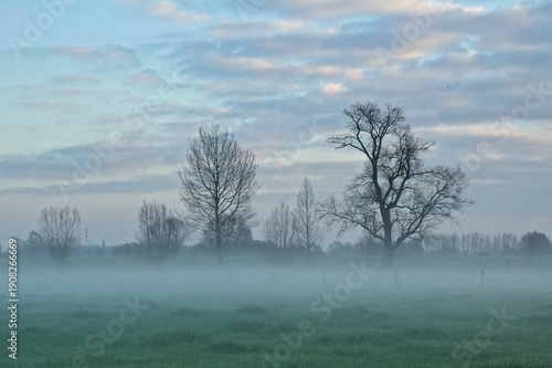 Bild auf Leinwand Misty meadow with bare willow and poplar trees under a cloudy winter sky in Oude