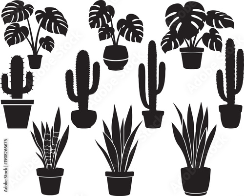 Collection of potted cacti and tropical plants in black silhouette