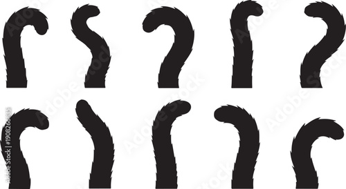 Black question marks on white background in quirky font style
