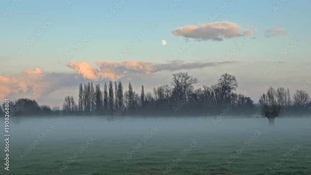 Fototapeta premium Misty meadow with bare willow and poplar trees under a colourful cloudy evening sky with full moon in Oude Kalevallei nature reserve, Vinderhoute, Belgium 