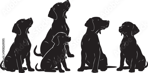 Silhouette of Five Dogs Sitting Together in a Row Looking Up