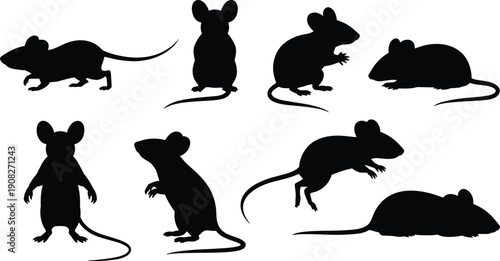 Black mouse silhouette set, rat vector icons in different poses, isolated on white background, rodent pest control illustration collection