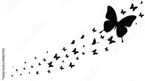 Butterflies silhouette swarm with one large butterfly leading a trail of small flying insects, minimalist black vector shapes on white background with copy space