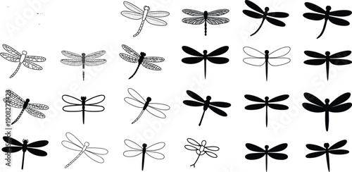 Collection of Dragonfly Silhouettes and Line Art Illustrations Keywords: dragonfly, insect, flying, wings, nature, animal